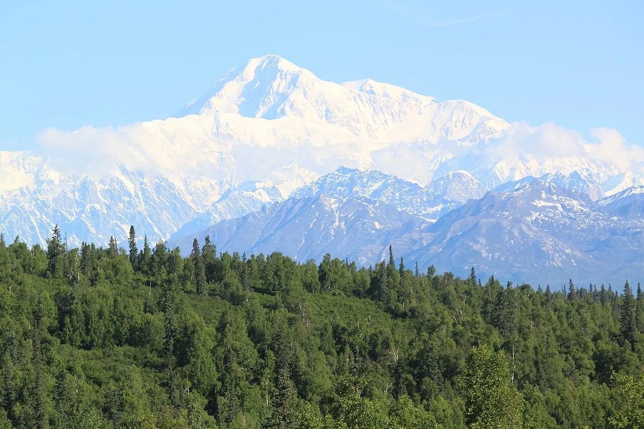 Snow-capped Denali peak rising above forested Alaskan landscape